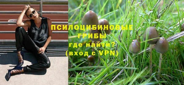 apvp Магас