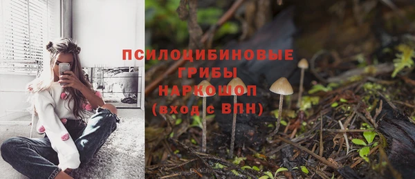 индика Магадан