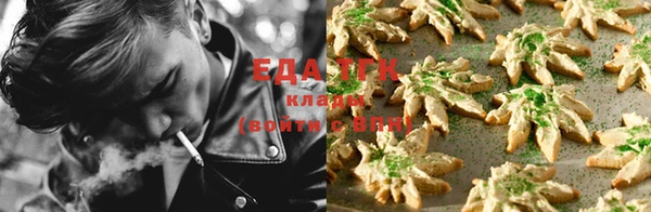 индика Магадан