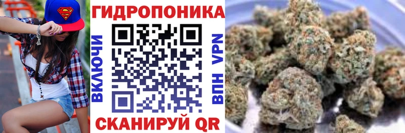 Канабис Amnesia Шацк
